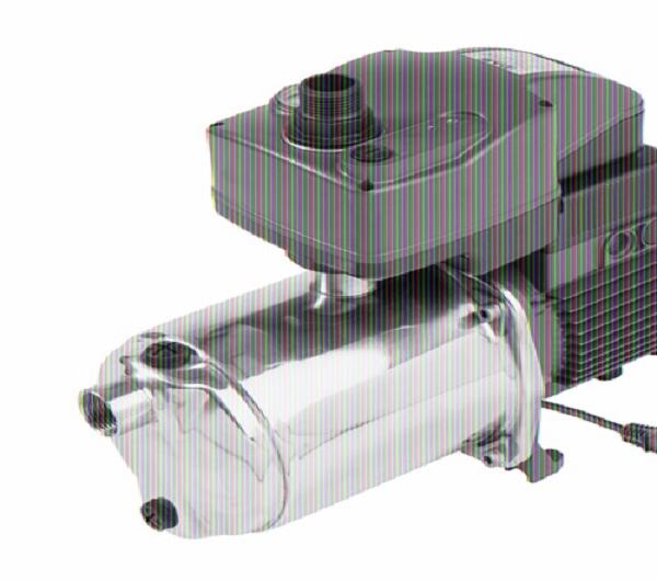 DAB selbstsaugende Kreiselpumpe 1kW